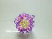 flower640.JPG (30742 Ӧ줸)